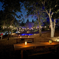 Outdoors with trees tables with lamps, and lighting