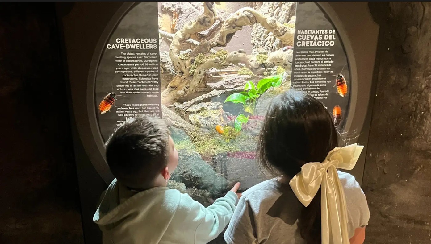 Science Works Hands-On Museum