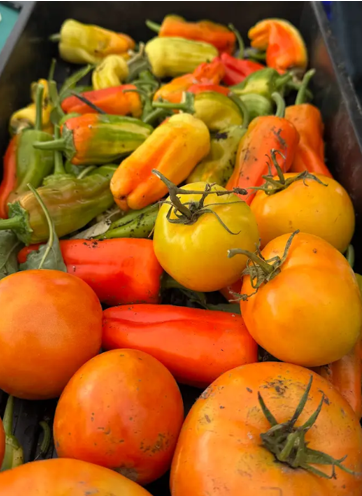 Photo of vegetables
