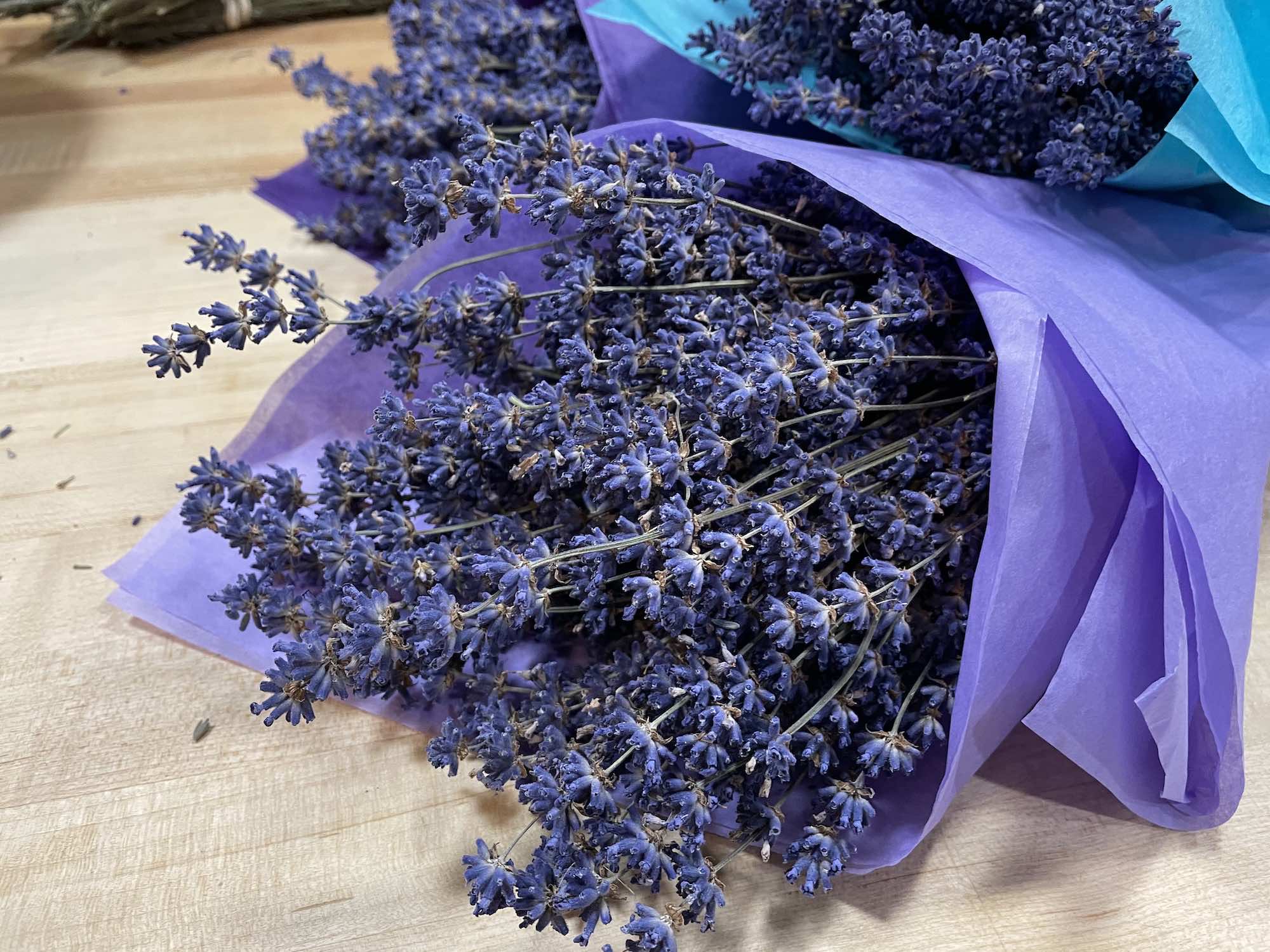 Lavender bunch wrapped in purple tissue paper