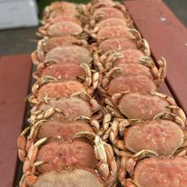A couple dozen crab catch.