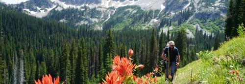 Go Wild: American Adventures