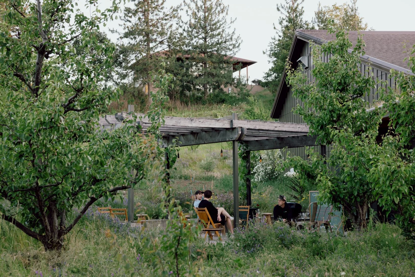 Three people sit under an arbor surrounded by green plants and trees at a vineyard