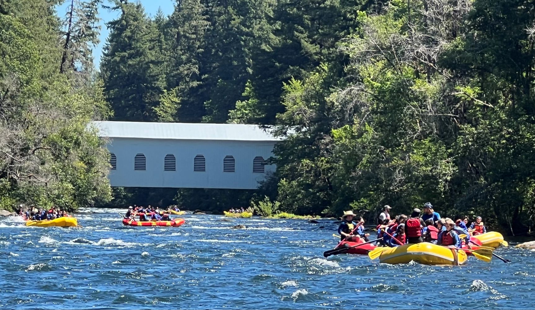 Groups of people on yellow and red river rafts, float down a river with a covered bridgee