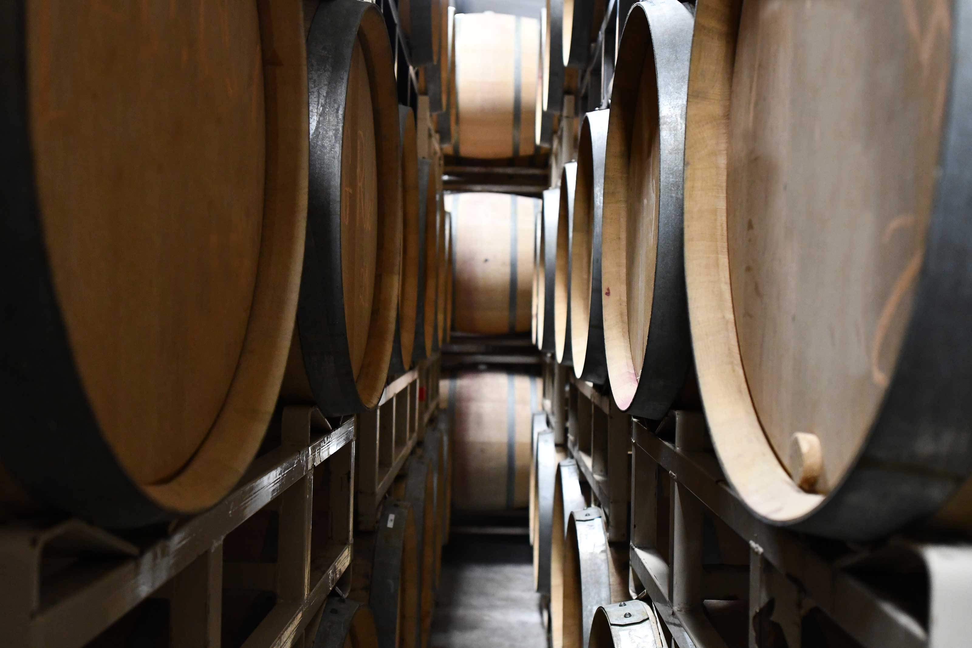 rows of wine barrels in a winery barrel room