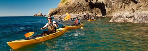 South Coast Tours