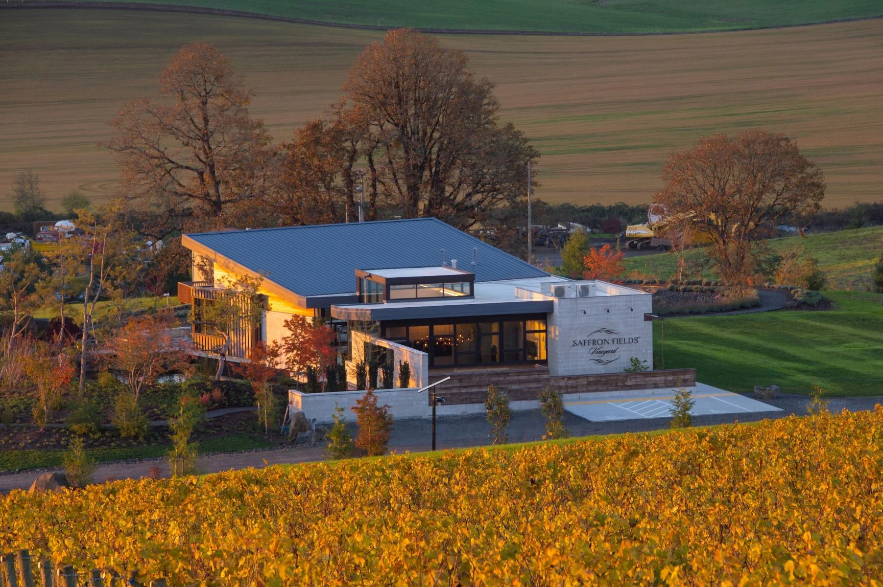 Exterior of Saffron Vineyards Winery surrounded by golden autumn vines