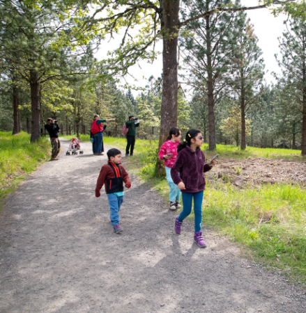 Family walking on a trail, scanning the perimeter of the forest