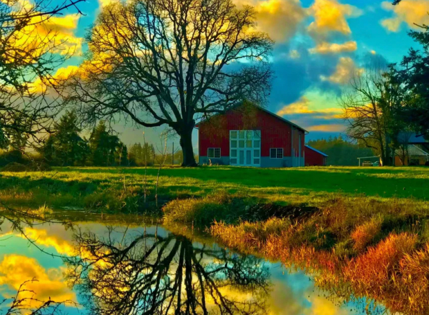view of red barn and pond in fall
