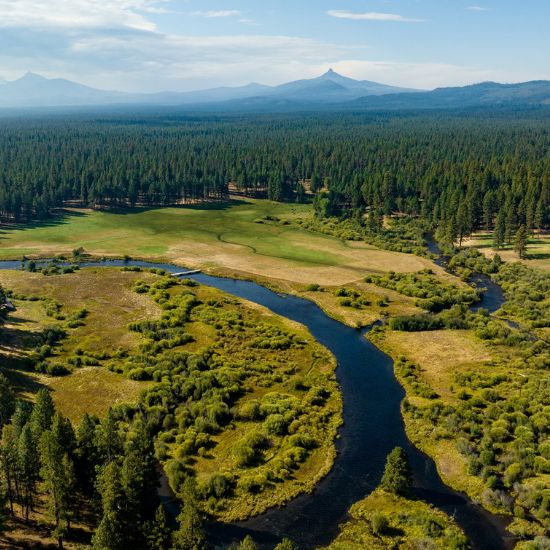 Aerial view of a river through and a forest.