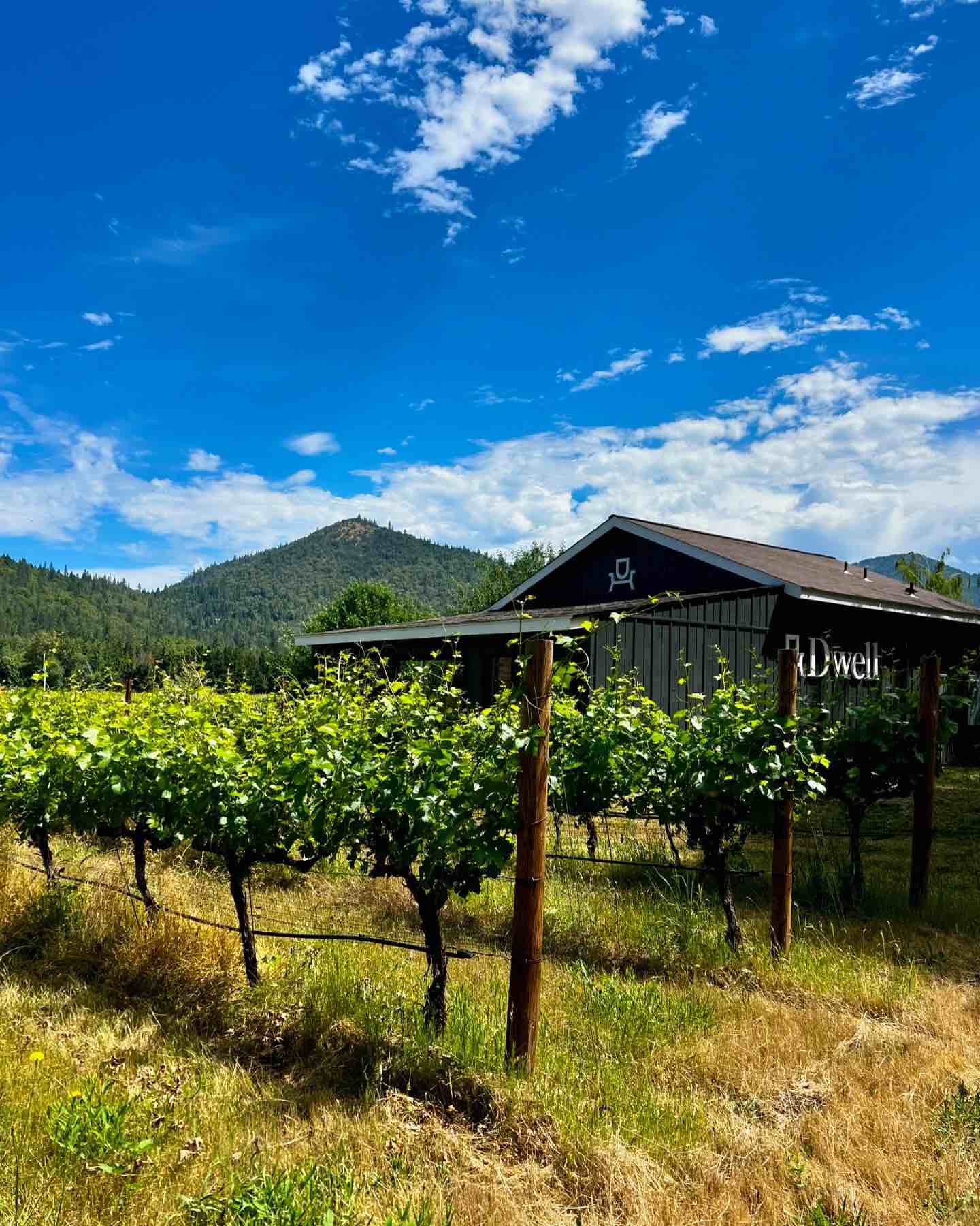 Dwell Vineyard