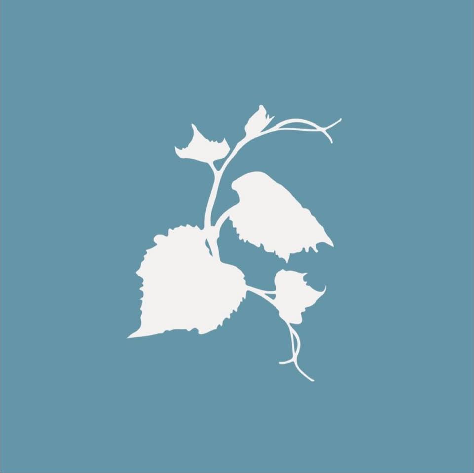 The Vine Logo