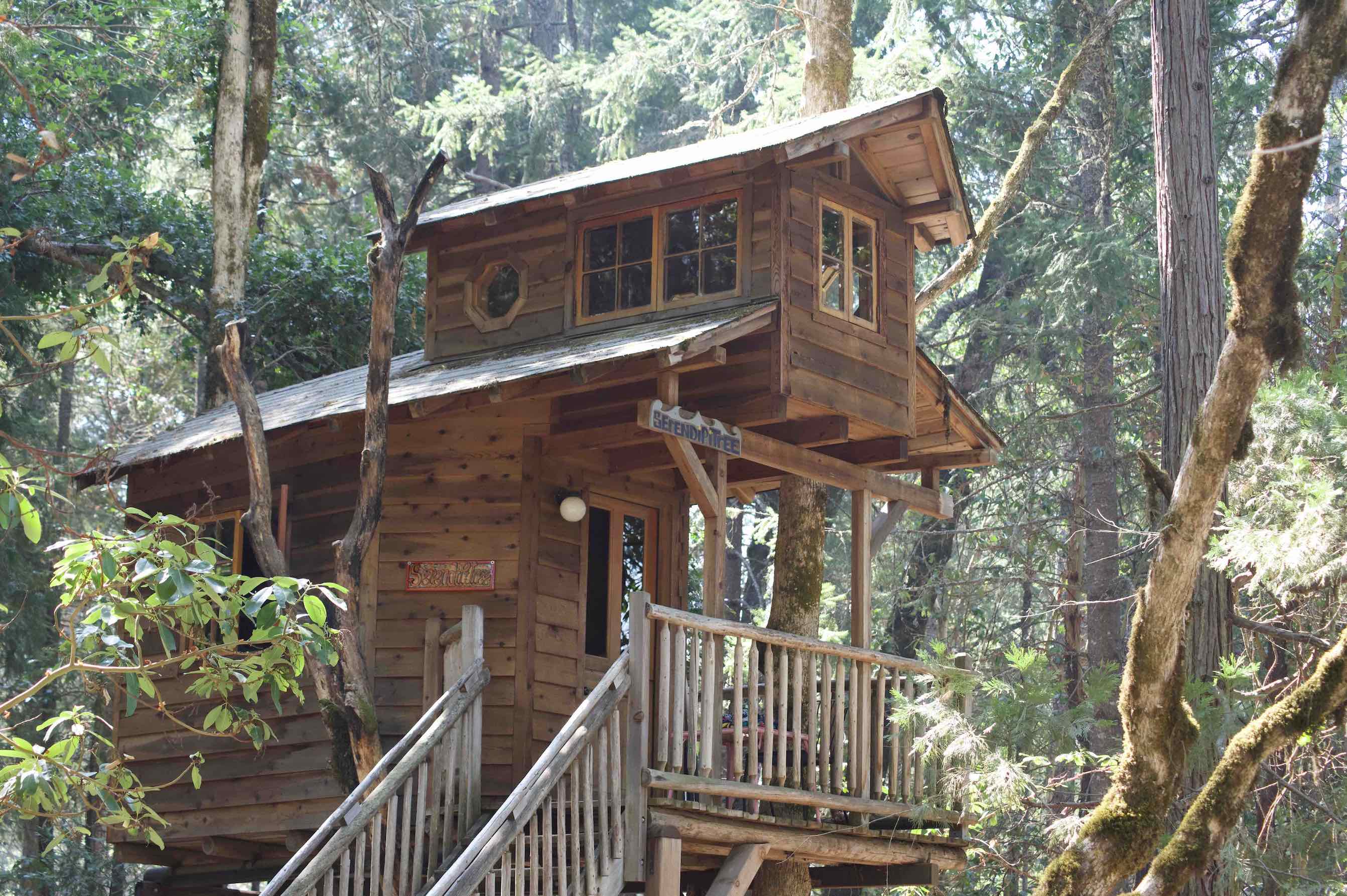 Two story treehouse with a unique design