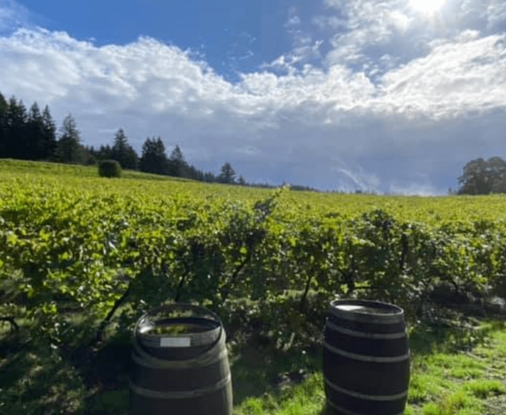 Hudak Family Vineyard