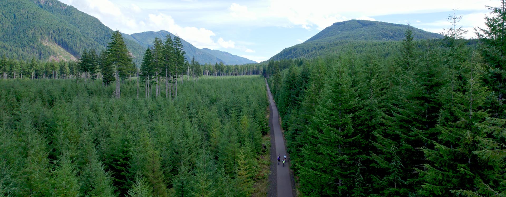 Cyclist ride up road that cuts through a thick forest.