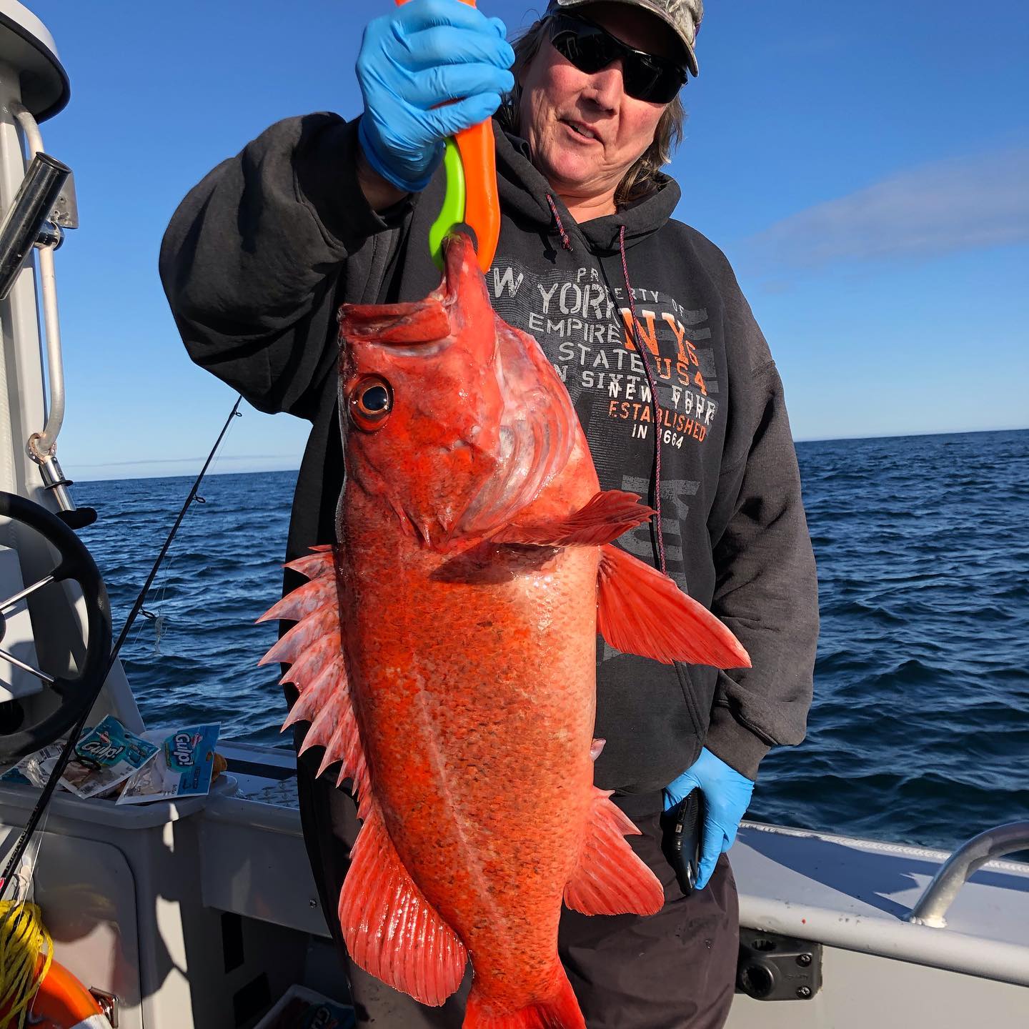 Guide holds up red rock fish