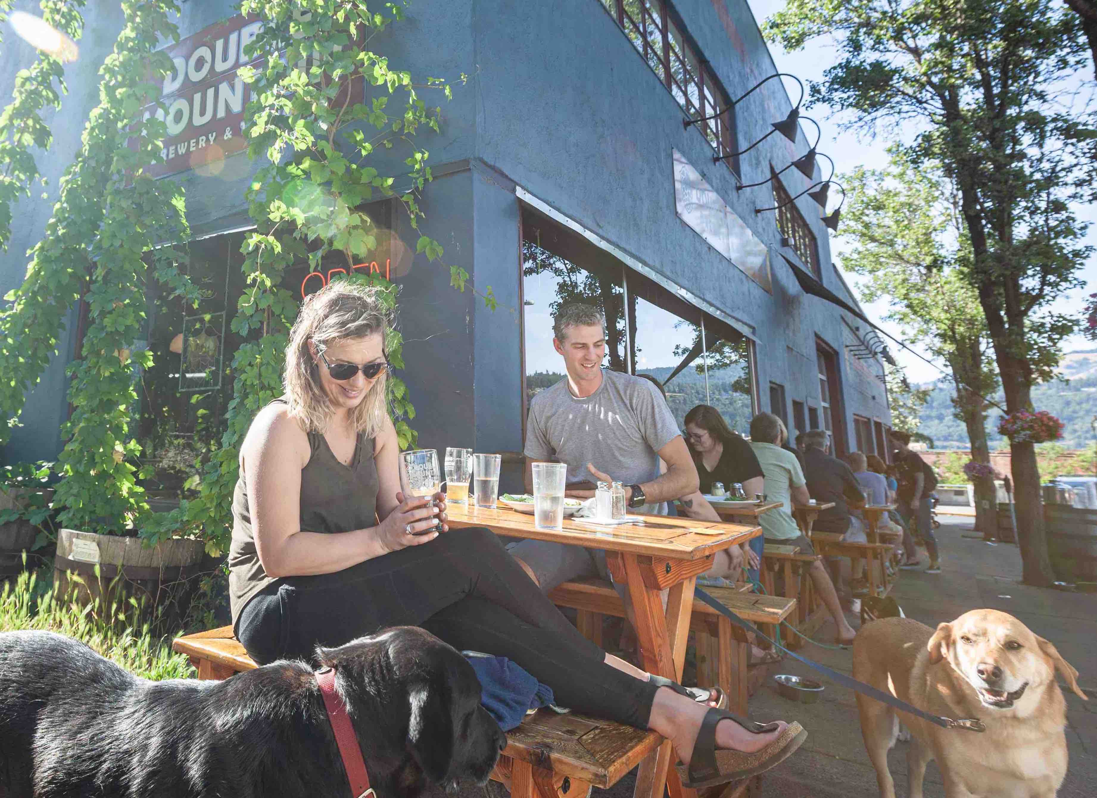 People with dogs and beer at Double Mountain Brewery