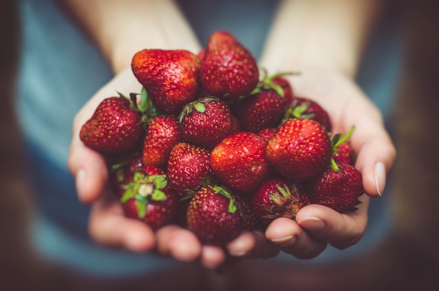 two hands full of strawberries