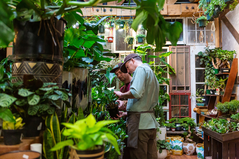plant shop