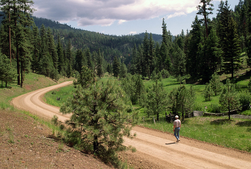 walking in the Ochoco National Forest