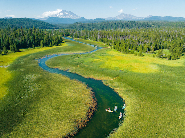 paddle boarders at hosmer lake
