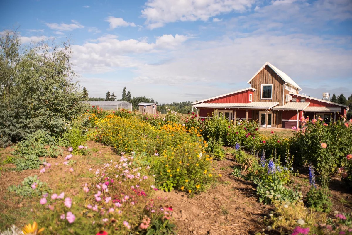 Flowers in front of a red and natural wood barn