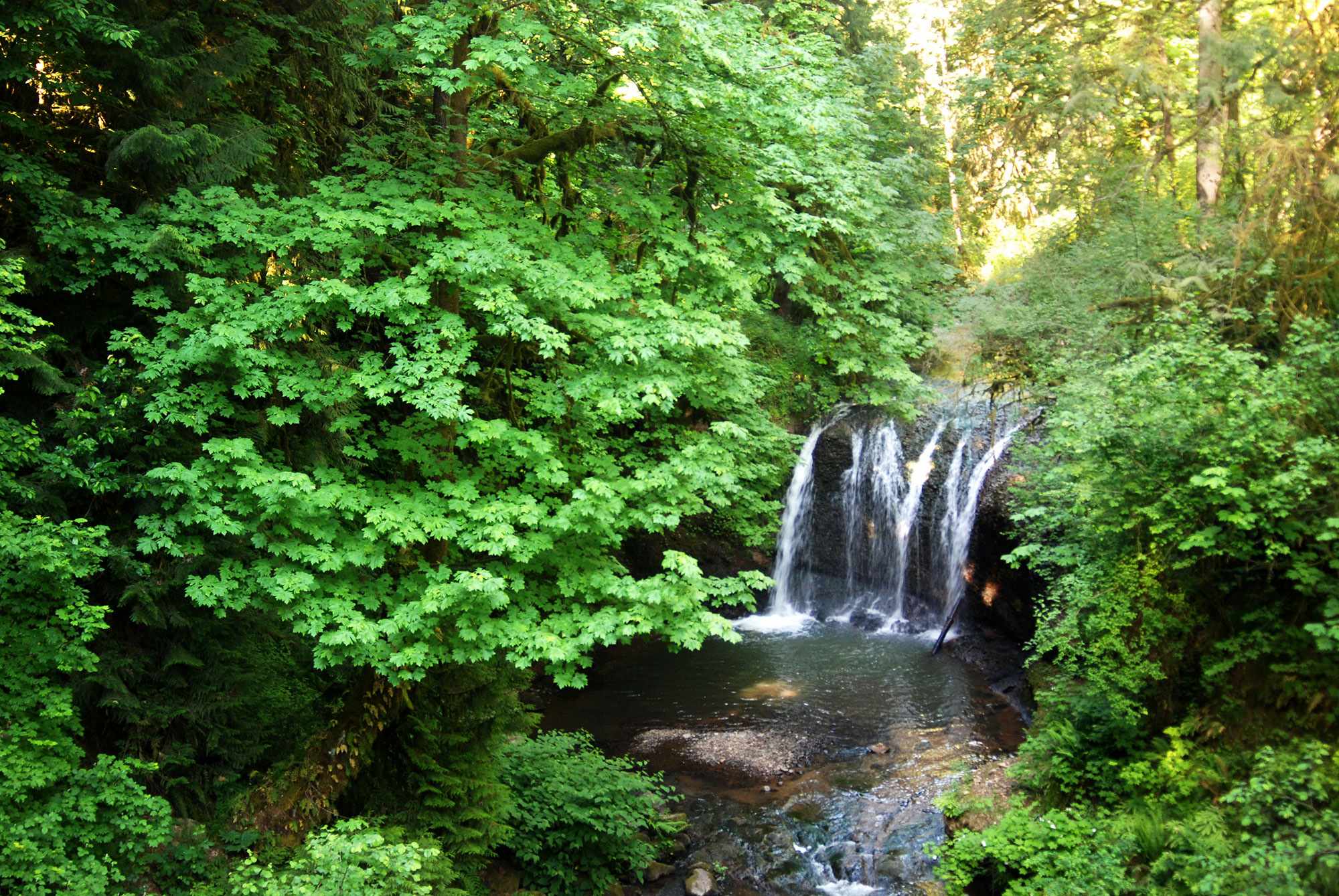 Hidden Falls cascades down into a shallow rocky creek