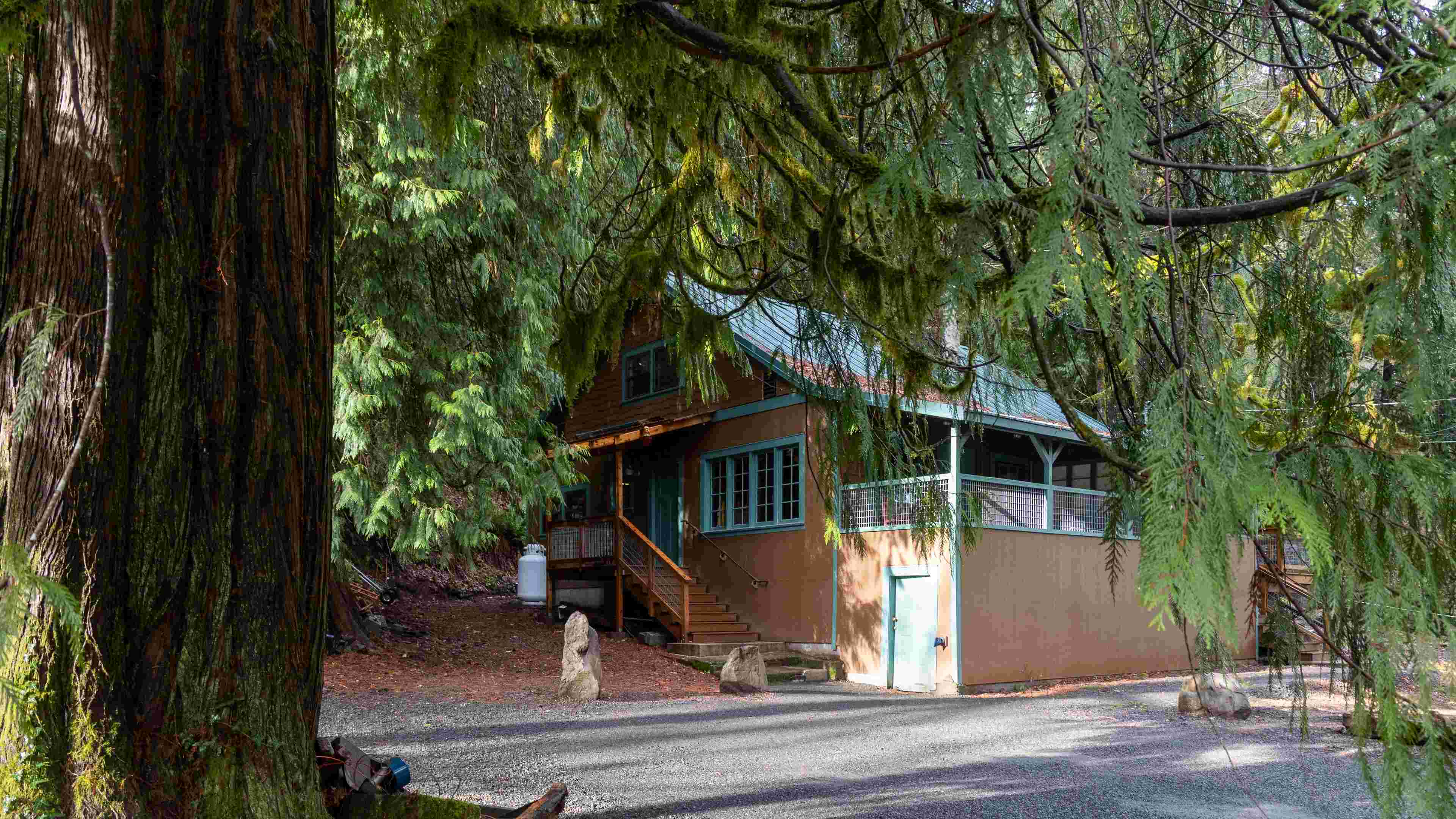 A peek through green branches of a fir tree at a brown and green two story cabin with a gravel driveway