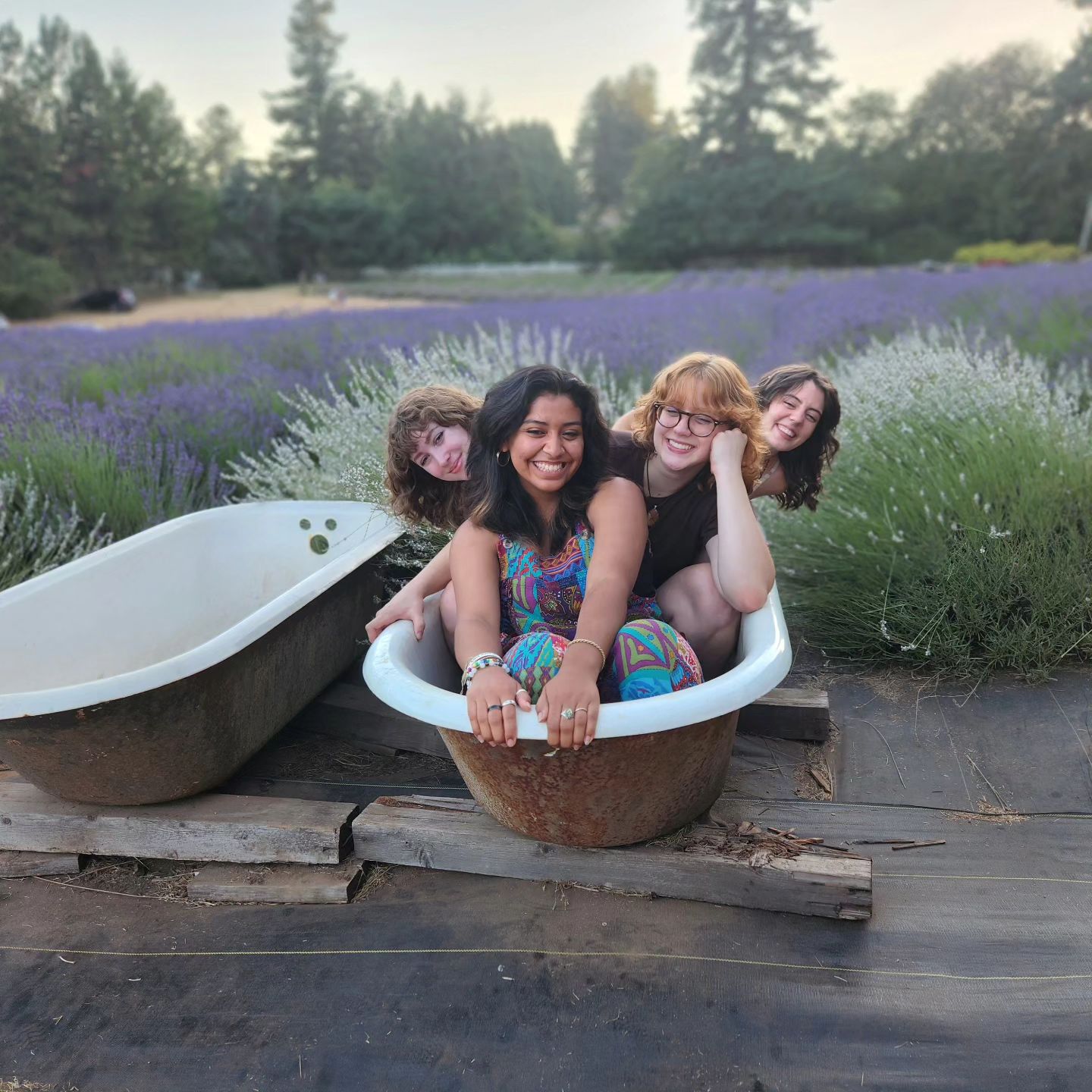 4 people sitting in an empty tub with a lavender field behind them