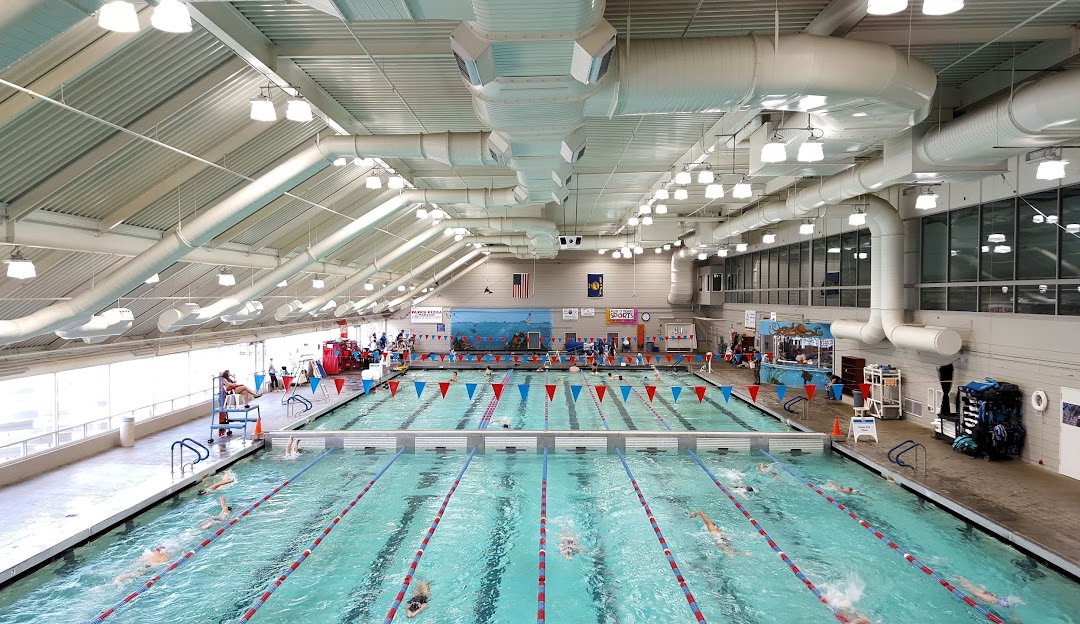 indoor pool with swim lanes