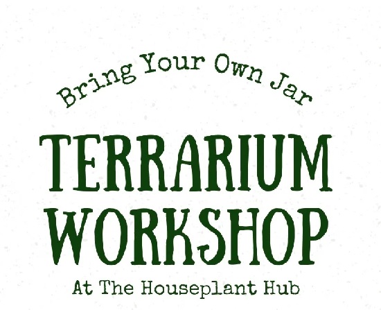 Terrarium Workshop