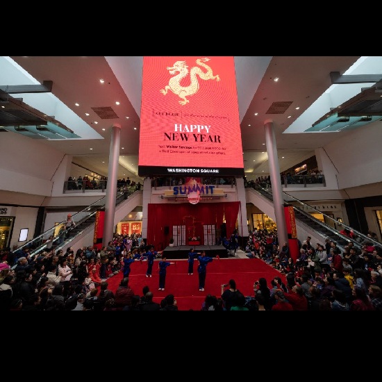 Lunar New Year Celebration at Washington Square