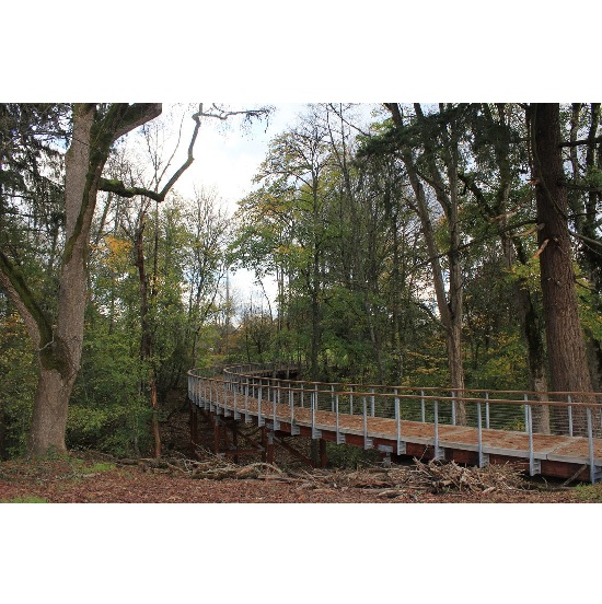 Harvest 5K at Orenco Woods Nature Park