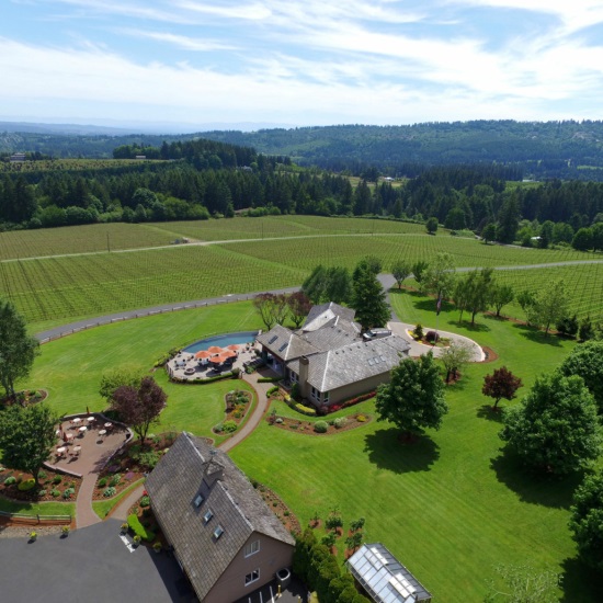 Overhead view of Tasting room and tables