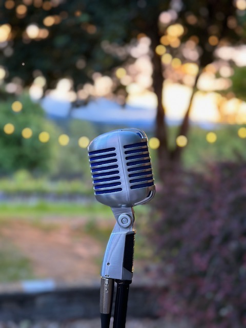 microphone in foreground