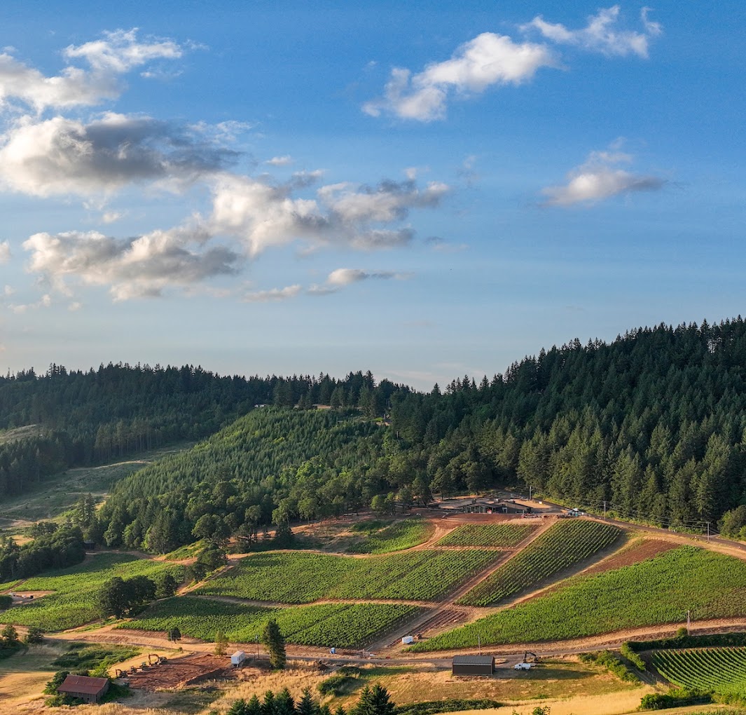 Jatcher Family Wines land