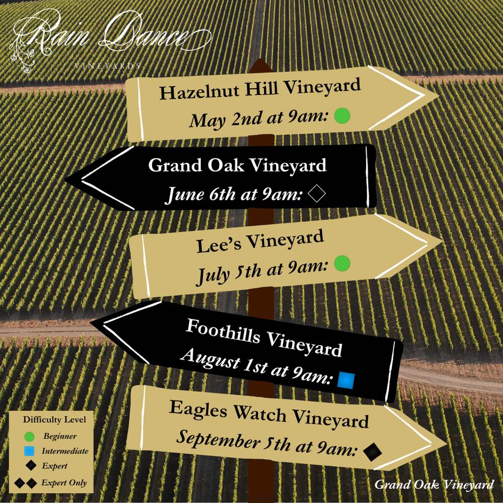 Vineyard Hiking Club – Foothills Vineyard