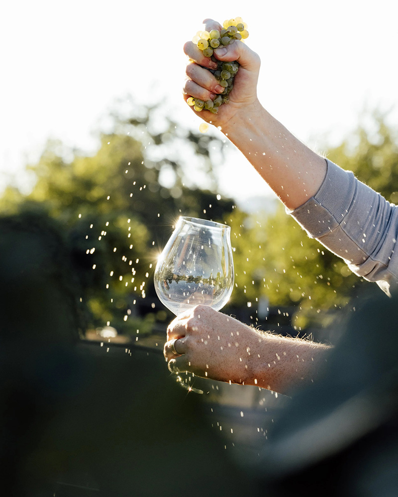 Grapes and wine glass