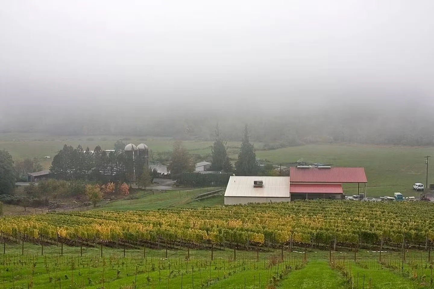 Pre-Thanksgiving Open House at Patricia Green Cellars