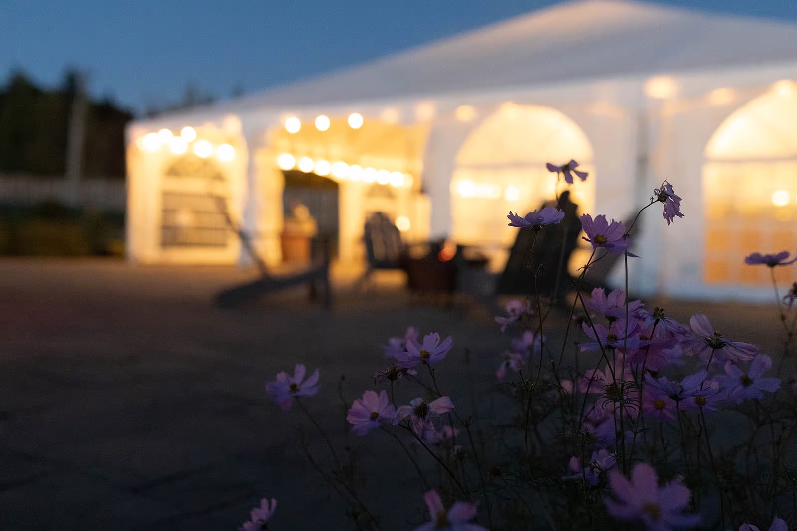 Bubbles & Caviar: Dinner in the Garden