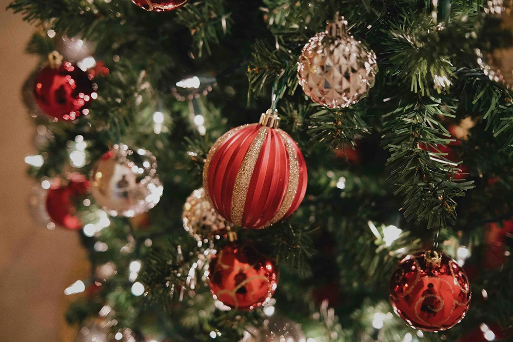 Holiday Charity Party: Feliz Navidad!