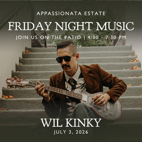 Friday Night Music on the Patio – Wil Kinky