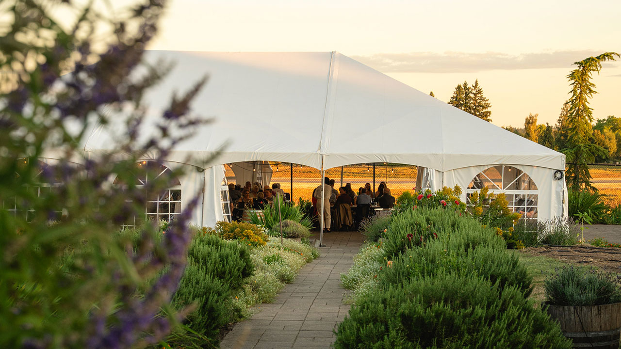 Petals & Pink: Dinner in the Garden