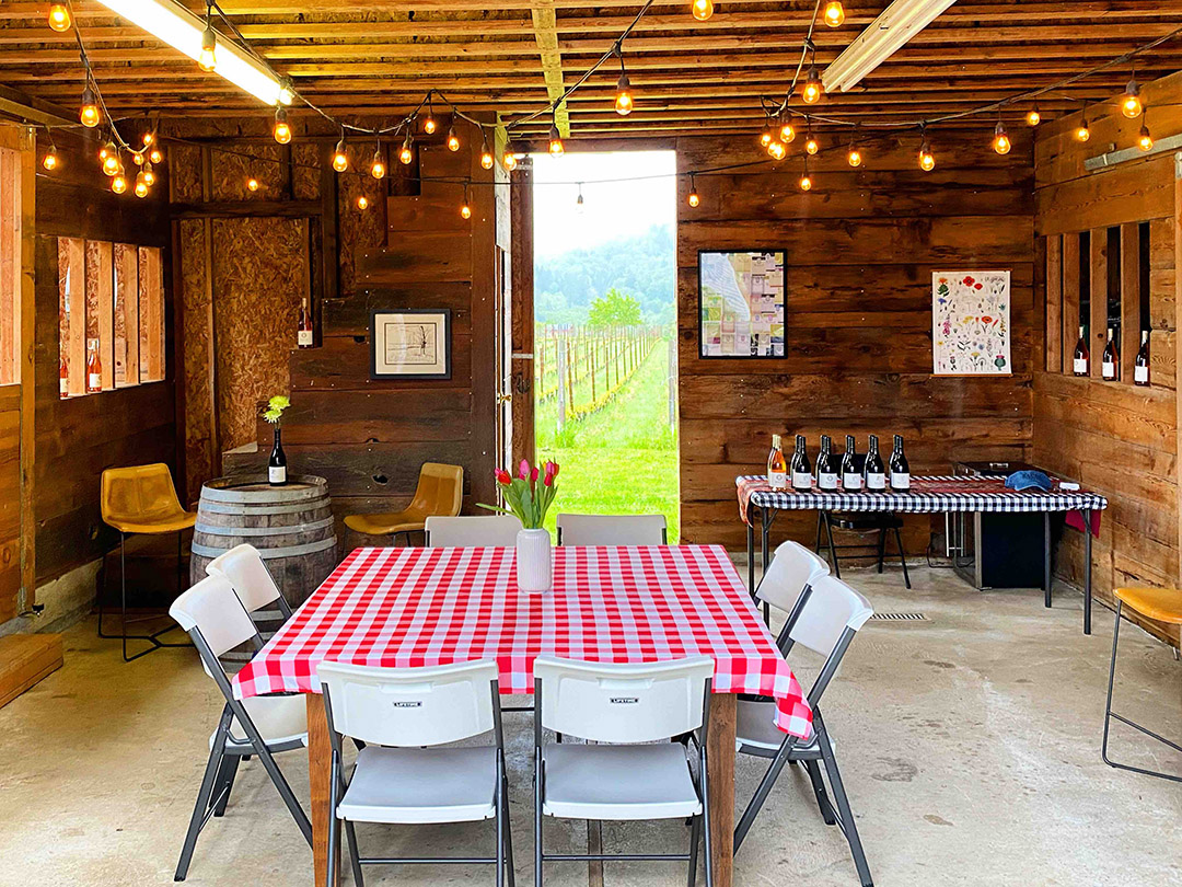 Bacus Vineyards indoor tasting room