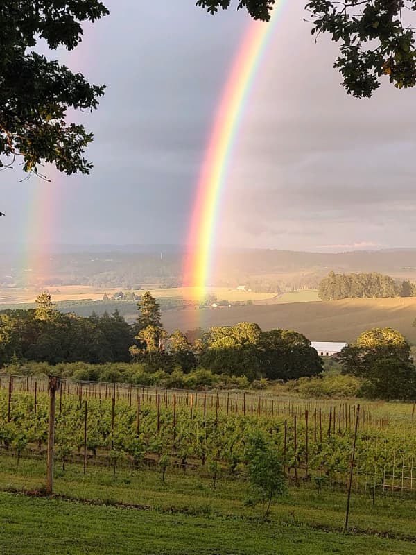 Carlton Hill Vineyard and Winery rainbow over vineyard