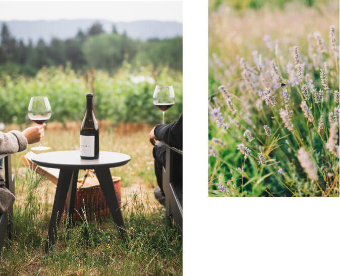 two people drinking wine