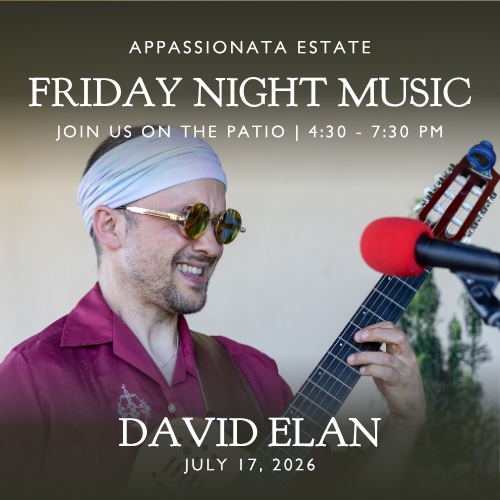 Friday Night Music on the Patio – David Elan