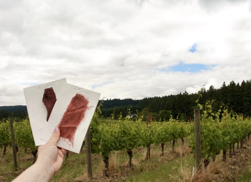 Willamette Valley Color