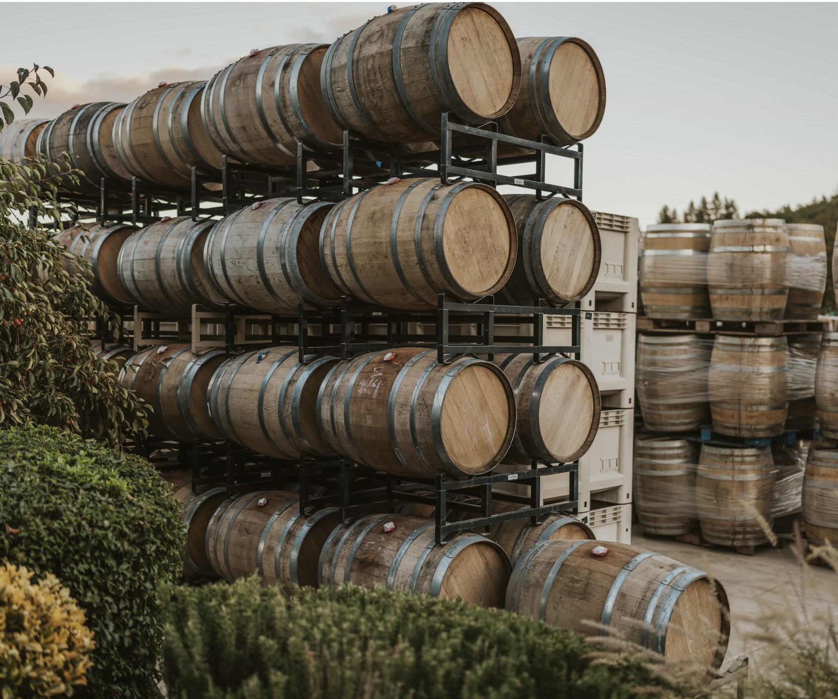 Weisinger Winery barrels ready for harvest season.