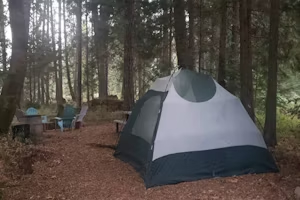 Tent in a wooded setting.